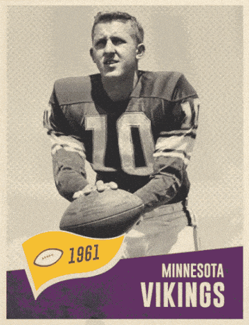 Minnesota Vikings